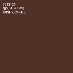 #513127 - Irish Coffee Color Image